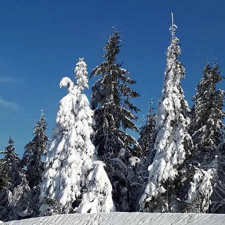 Apartment Sissi's Feriendomizil *