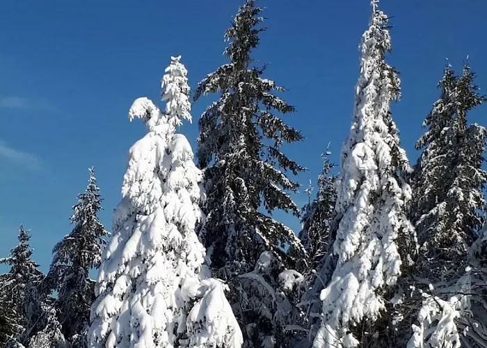 Apartment Sissi's Feriendomizil *